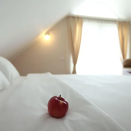 Novella Uno Hotel 3*